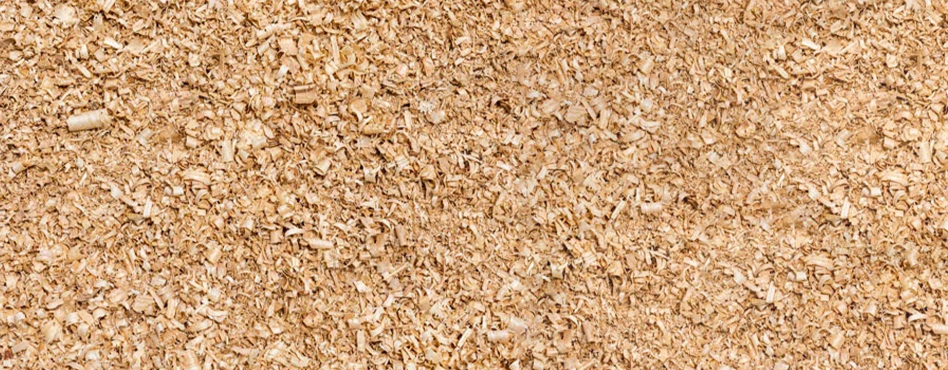 Nahaufnahme von Sägespänen