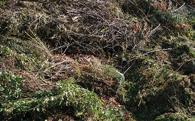 Grünschnitt als Brennstoff