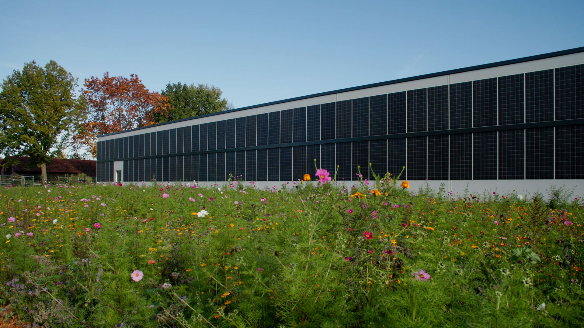 stromerzeugung-pv-fassadenmodule Fassaden-Module einer PV-Anlage an einem Industriegebäude