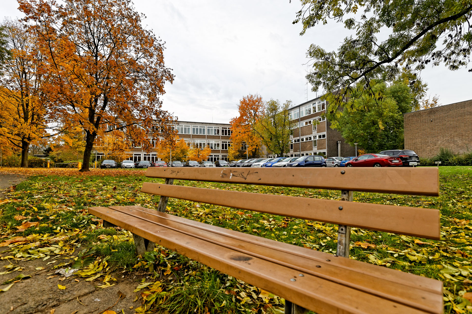 gymnasium-neuss-gebäude Eine Sitzbank auf dem Pausenhof einer Schule mit Bäumen im Hintergrund