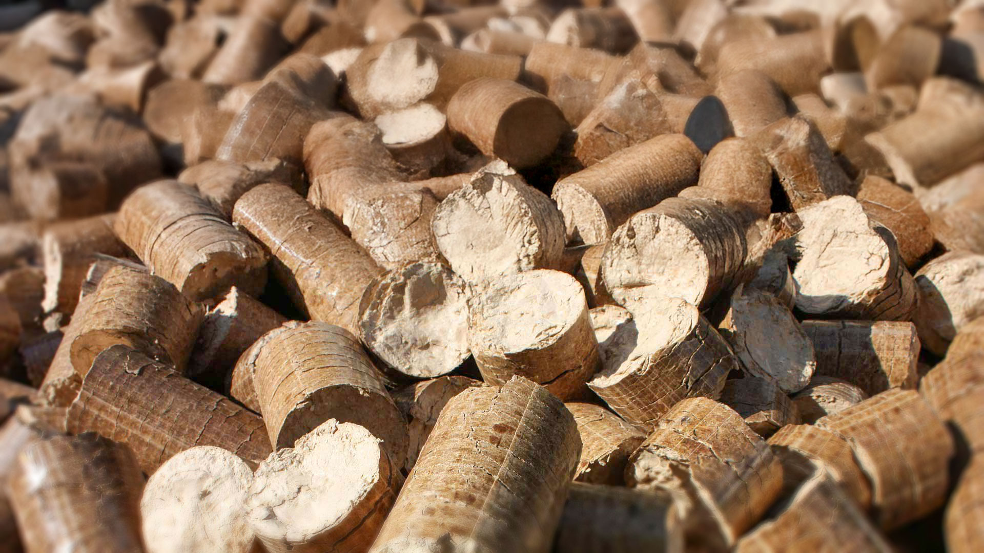 Nahaufnahme von Holzbriketts