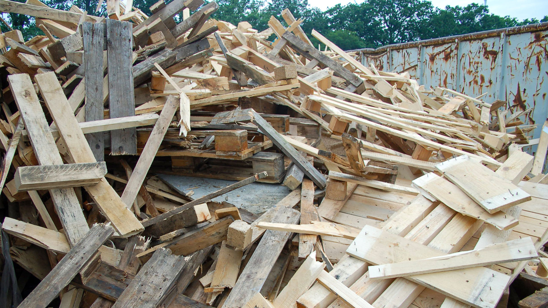 Ein Container voll Einwegpaletten und Industrierestholz
