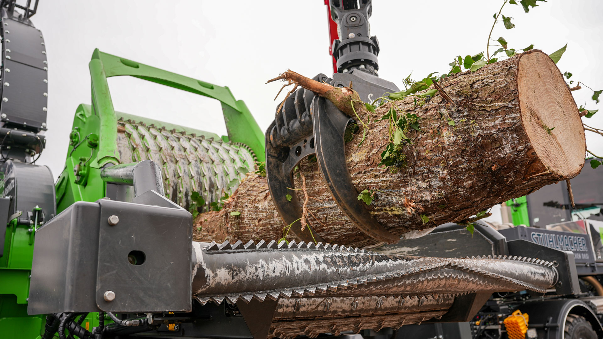 holzhacker-heizomat-stamm Baumstamm auf dem Einzugstisch eines Heizohack HM 14-860 Trommelhackers