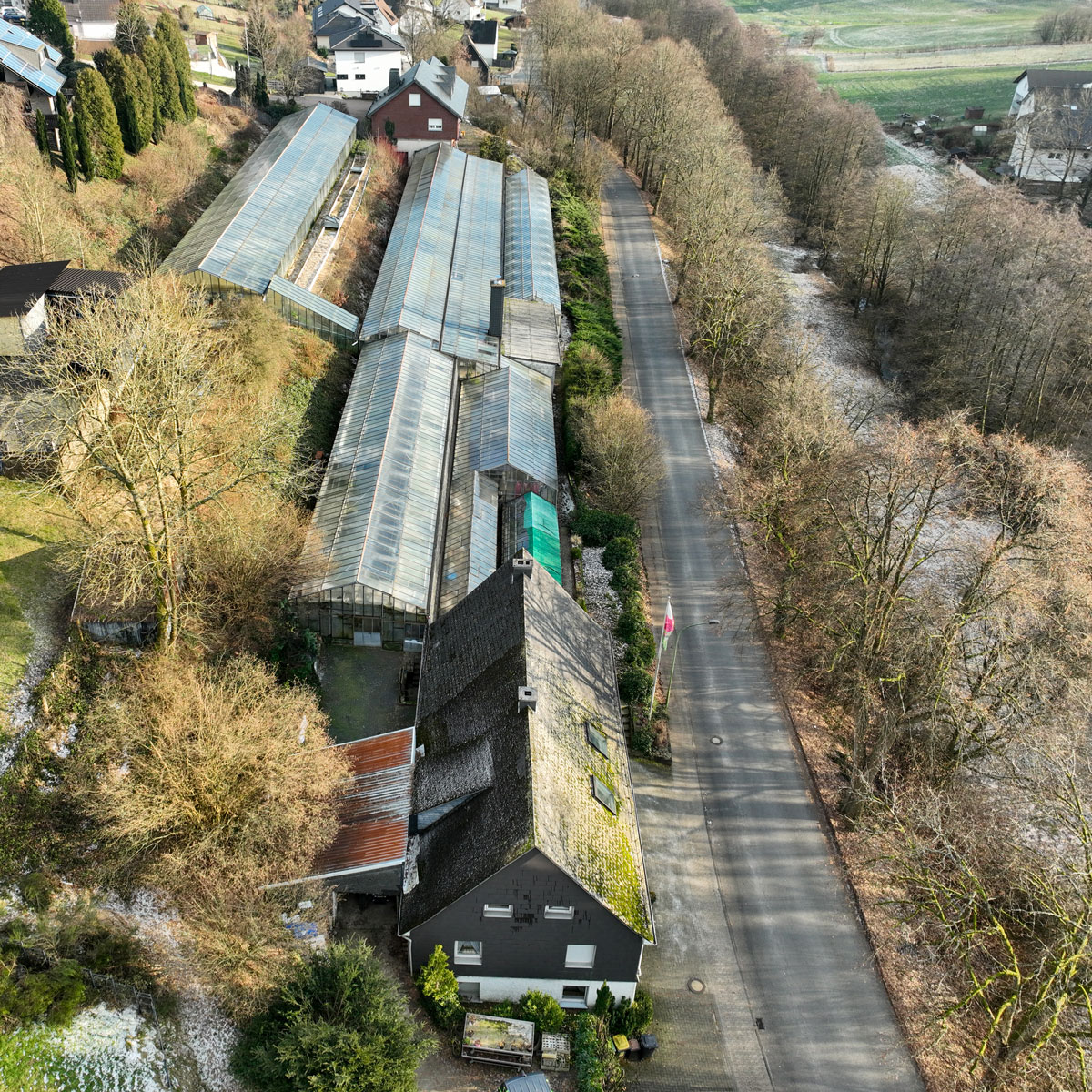 Gärtnerei und Blumenfachgeschäft Niklas aus Wenden