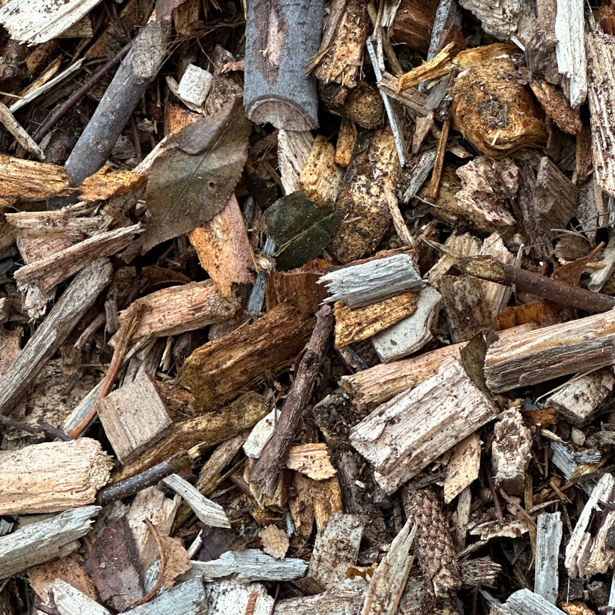 waldhackgut-hackschnitzel-holz Nahaufnahme von Waldhackgut als Brennstoff für eine Biomasseheizung