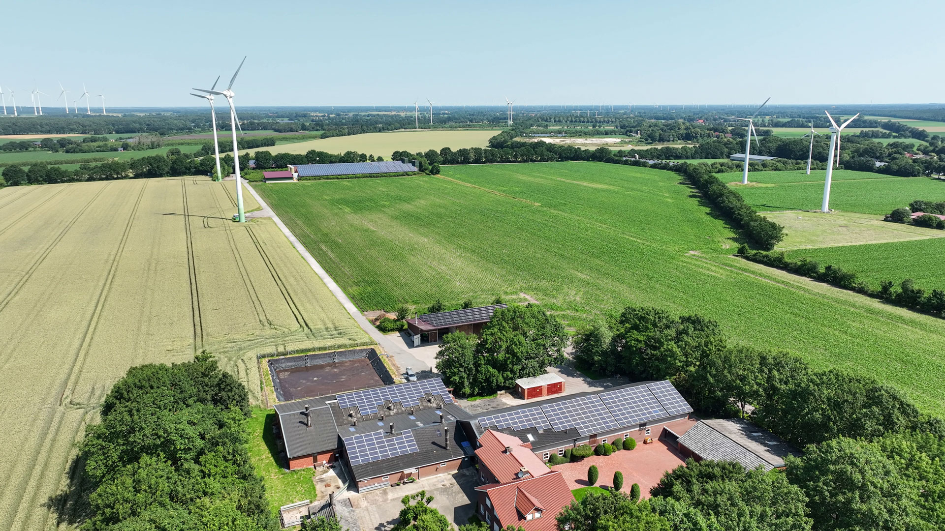 nahwärmenetz-biomasse-preozesswärme-landwirtschaft