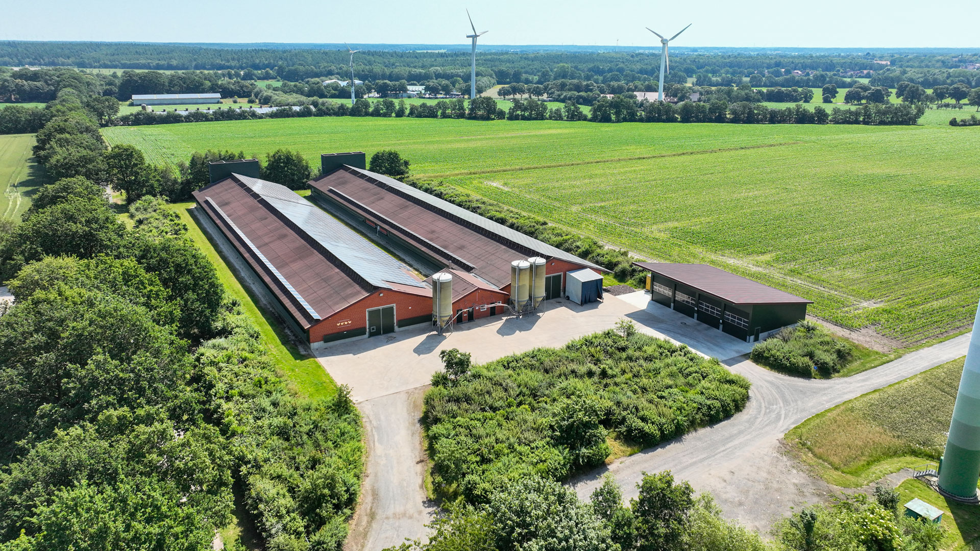 viehzucht-energie-sparen Schweinemastställe mit Photovoltaik auf dem Dach in einer grünen Umgebung mit Windrädern