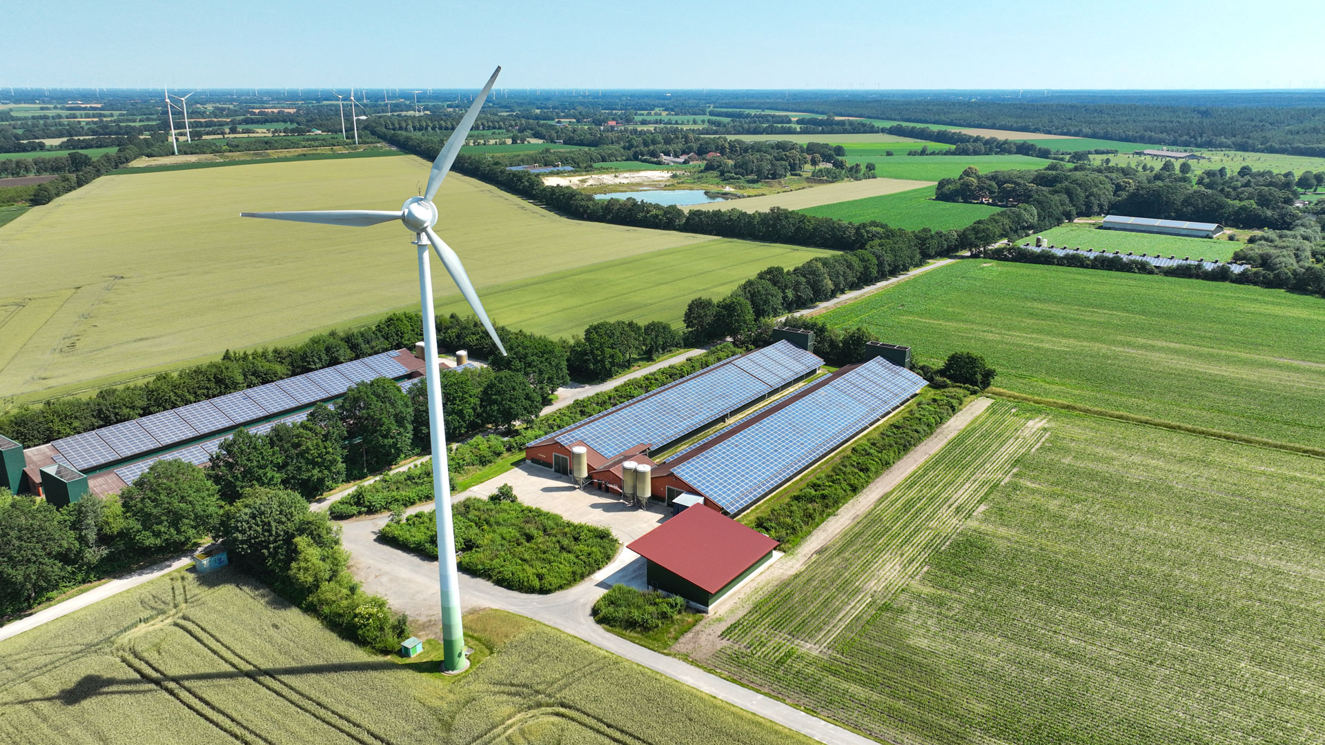viehzucht-prozesswärme-heizomat Schweine- und Geflügelmastställe mit Photovoltaik auf dem Dach in einer grünen Umgebung mit Windrädern