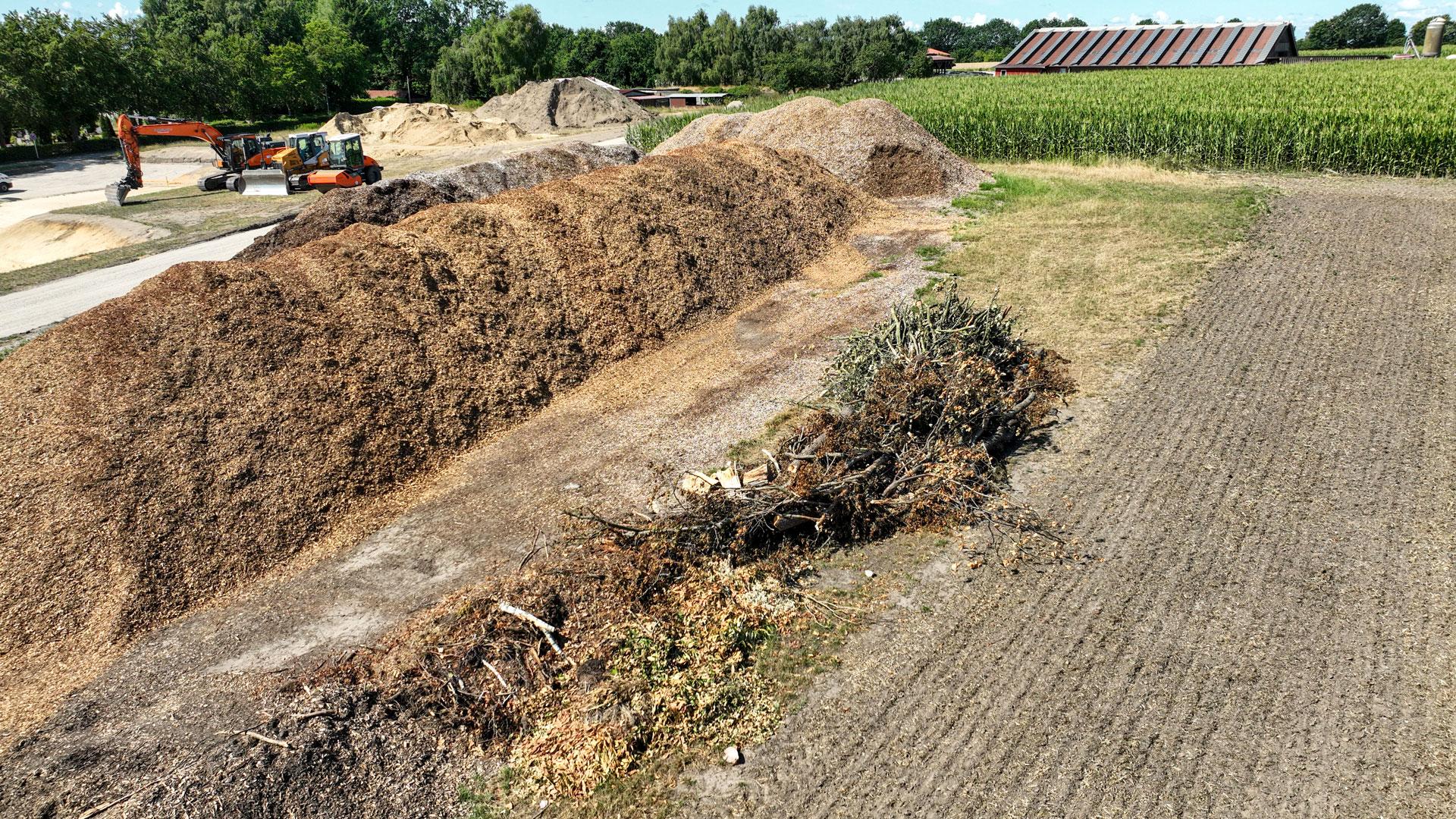 Kronenholz und Waldhackgut auf einer Siloplatte